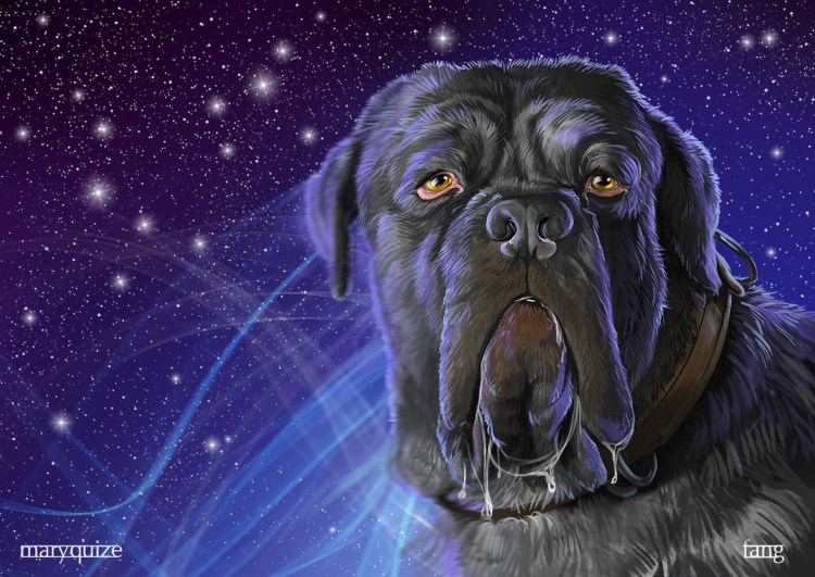 Муди (венгерская пастушья собака)