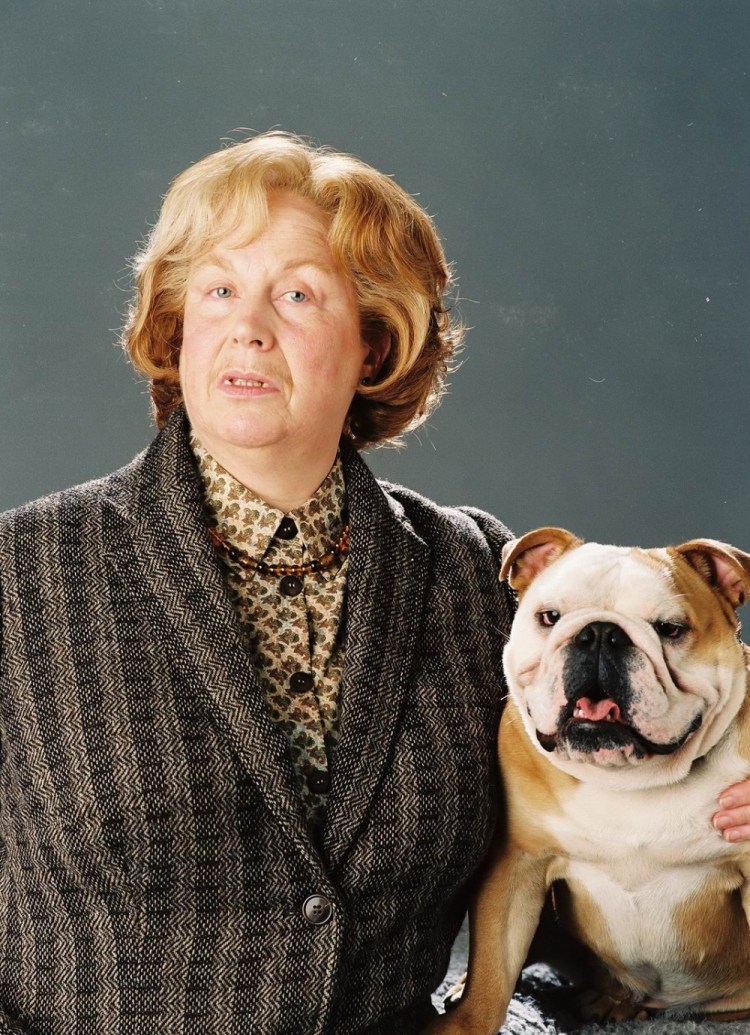 Гарри Поттер собака Хагрида