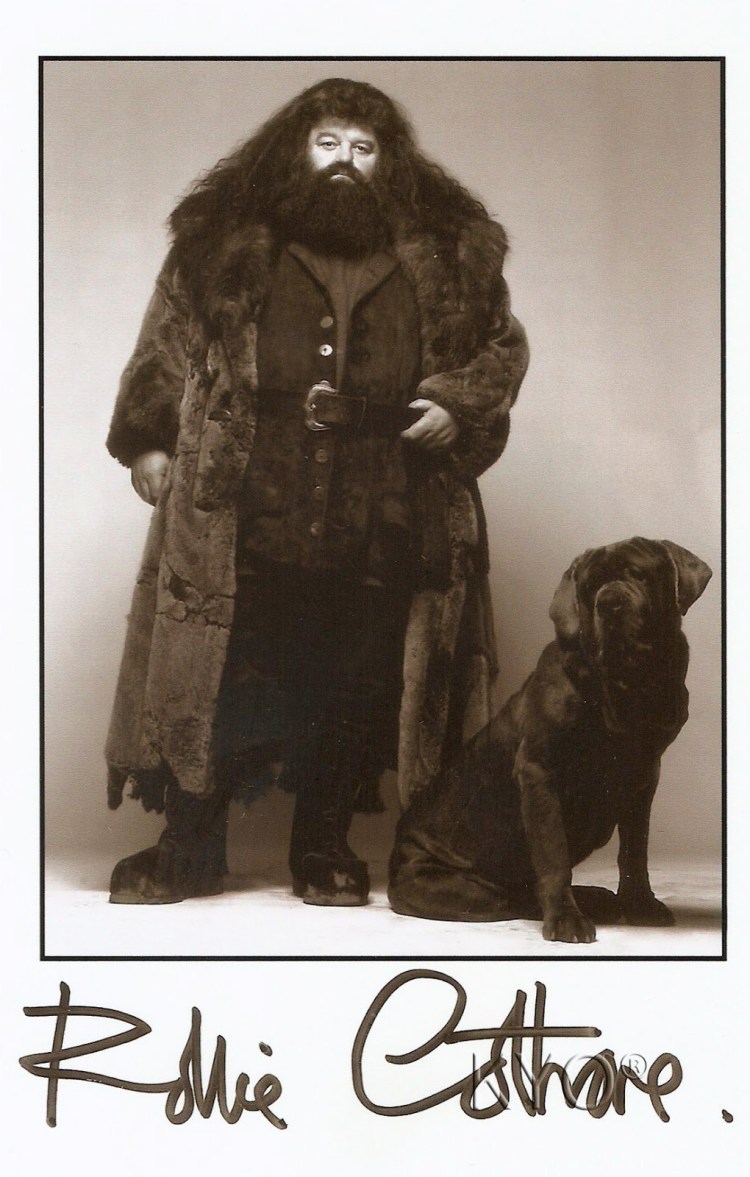 Собачка Гарри Поттер