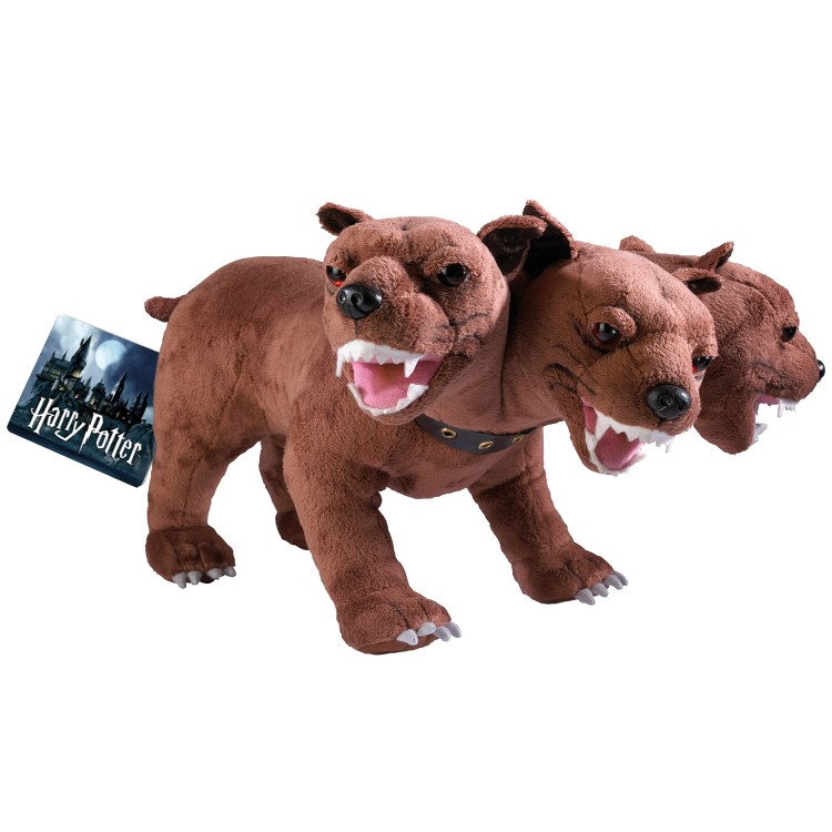 Итальянский спиноне порода собак