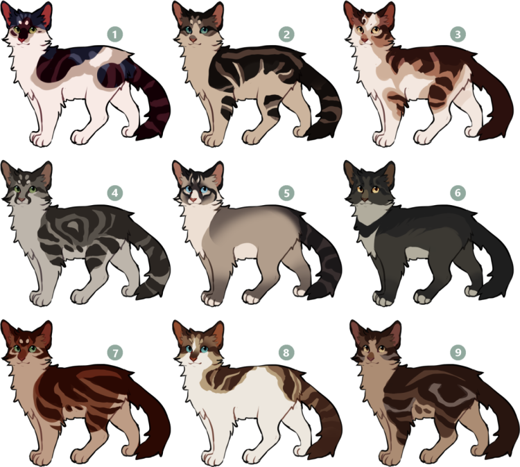 Черно белый кот Маркиз