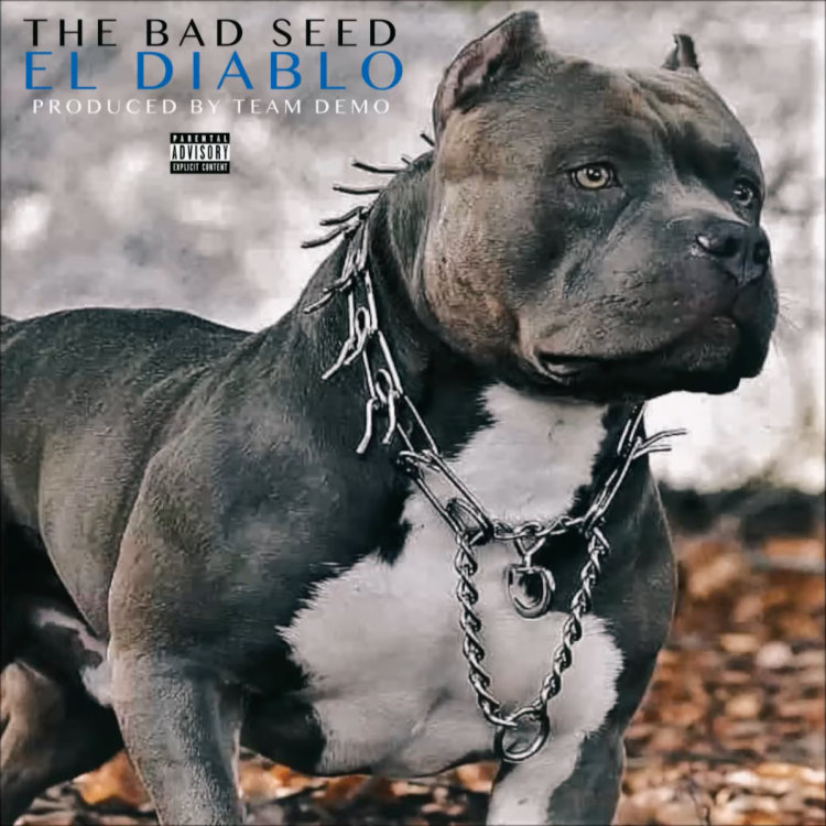 Питбуль Титан Москва