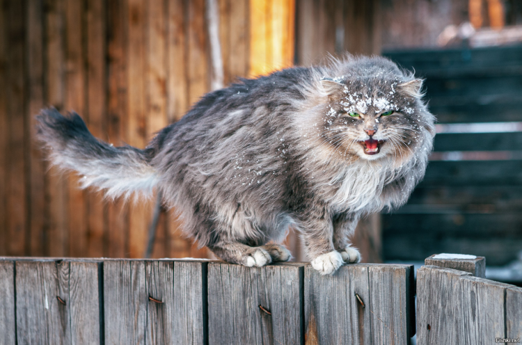 Демотиватор будь позитивным
