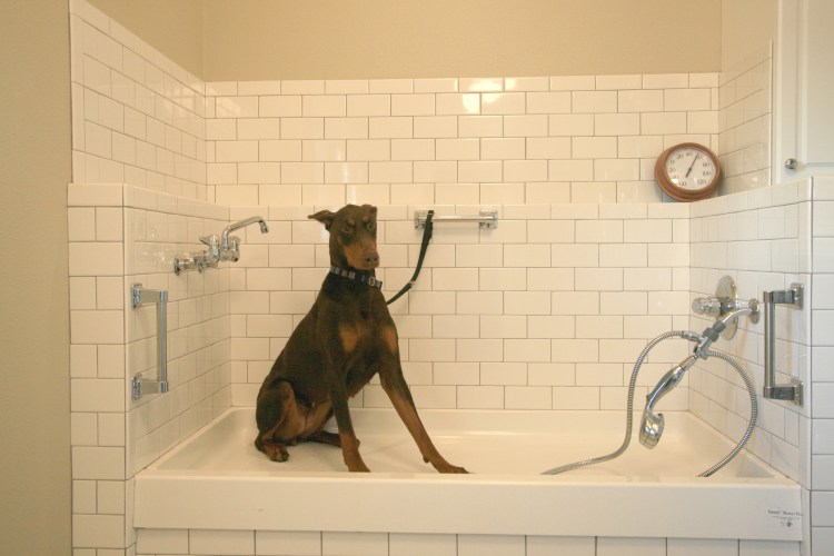 Поддон для мытья собак