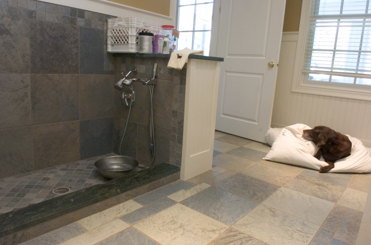 Помывочная для собак