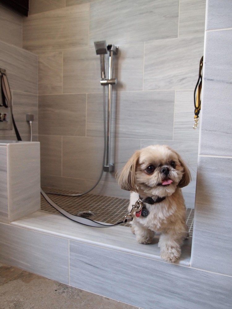 Раковина для мытья собак