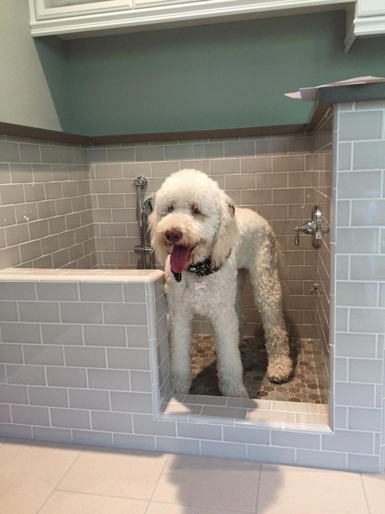 Мойка для собак в доме