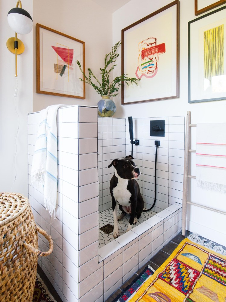 Поддон для мытья собак