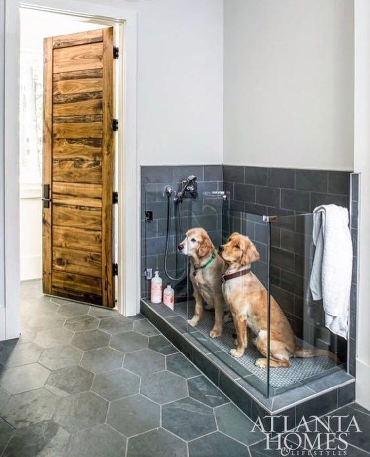 Душевая для собак