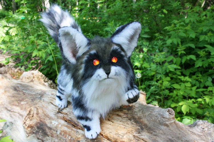 Камышовый Мейн кун