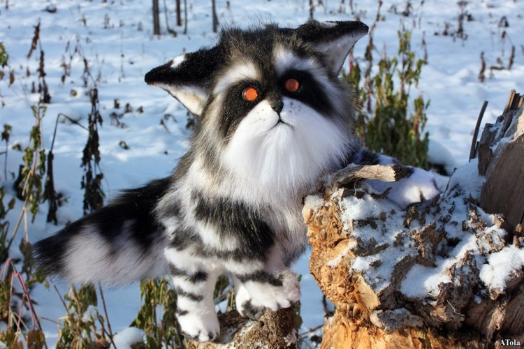 Енотовидный Мейн кун