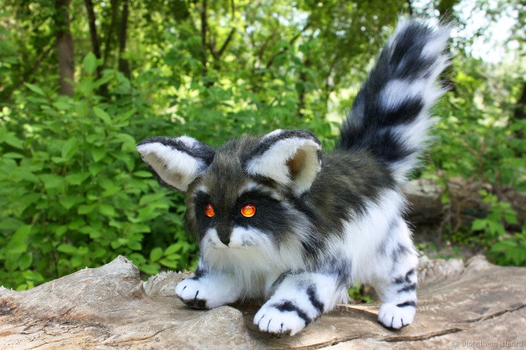 Енотовидная кошка фото