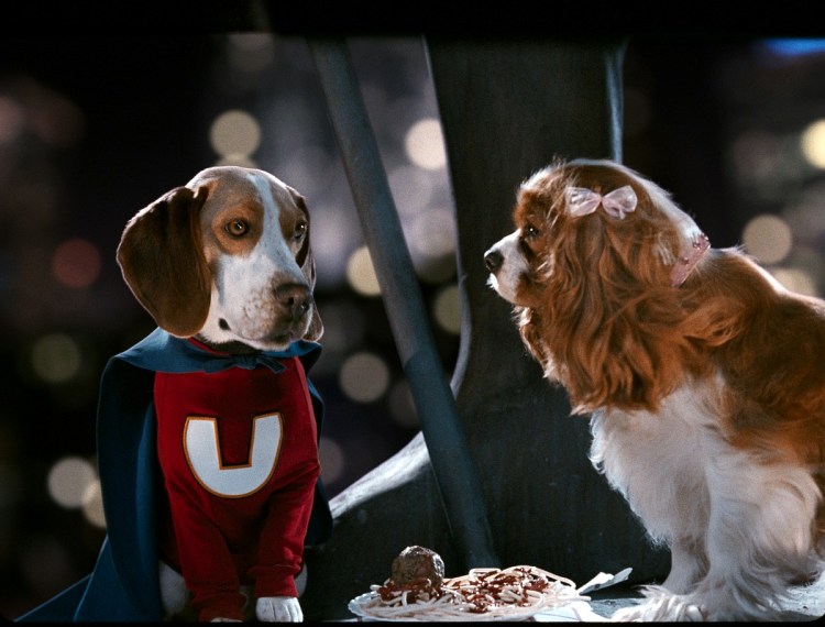 Корги маленькие