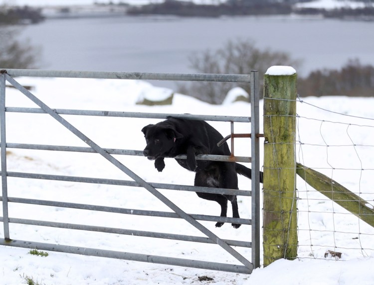 Рон Шмидт фотограф
