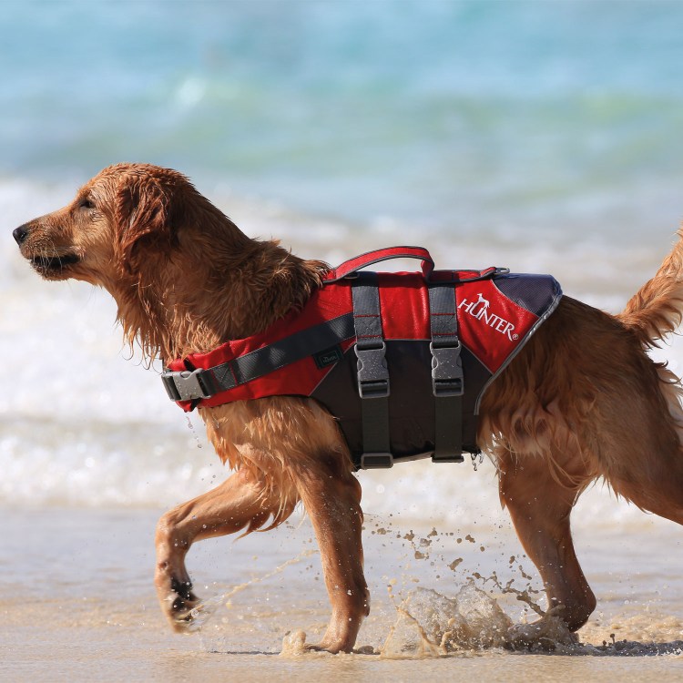Сумка переноска жесткая Дарэлл променад