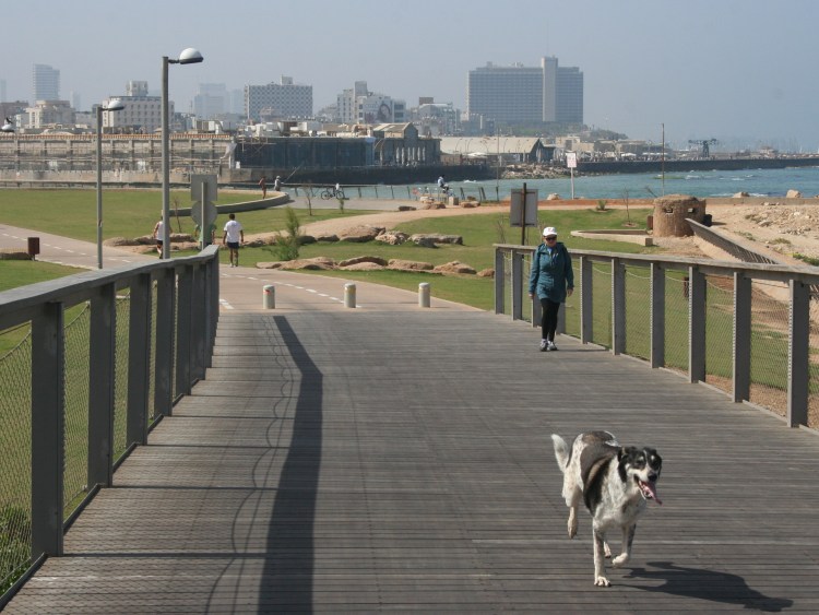 Парк для собак