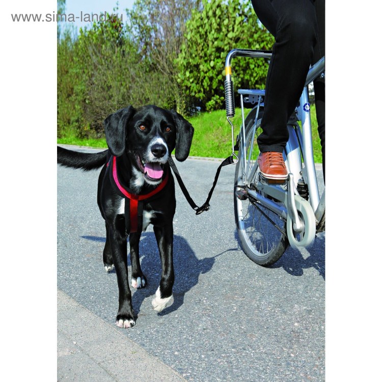 Лежанка для немецкой овчарки