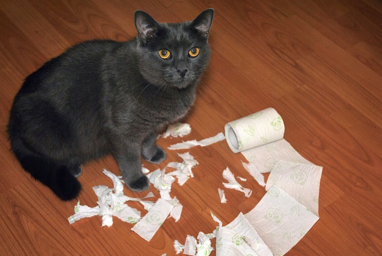 Обнимашки прикол