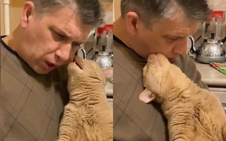 Женщина орет на кота