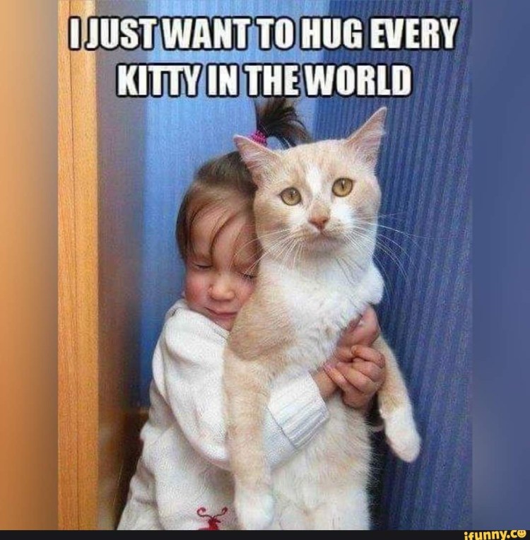 Не трожь Сашеньку