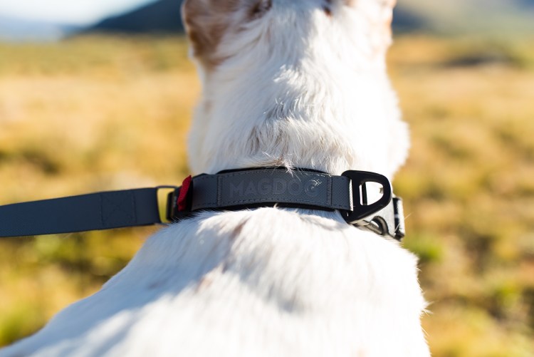 Gentle leader недоуздок