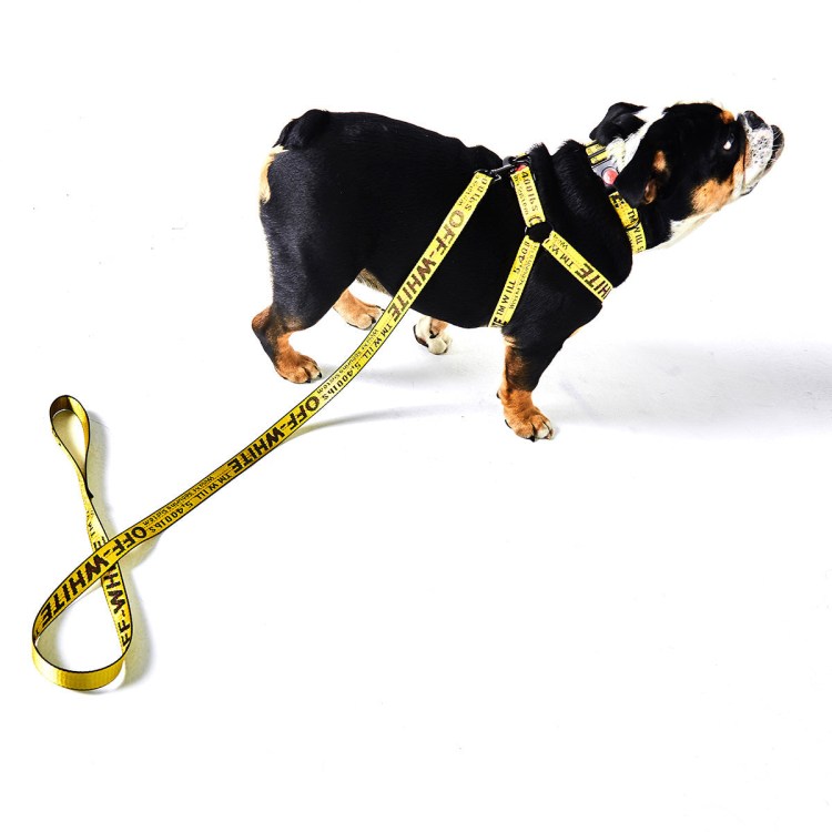 Шлейка коллар для собаки