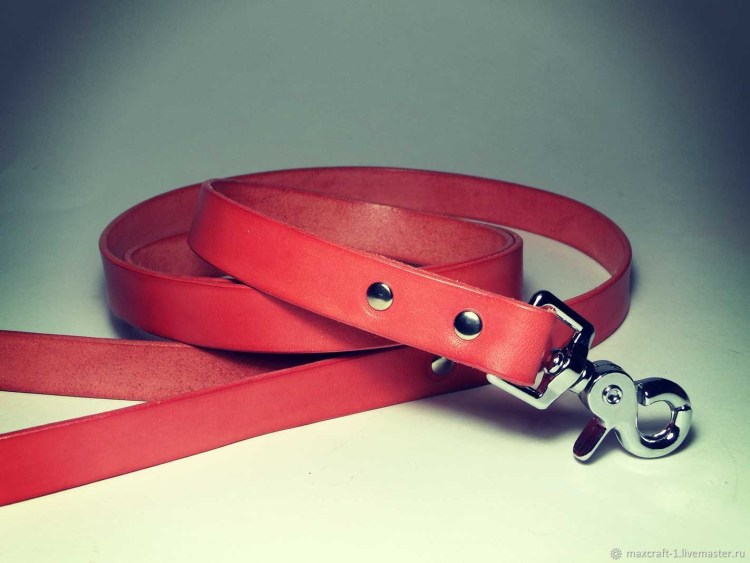 Шлейка p0034-05-s Pet servant