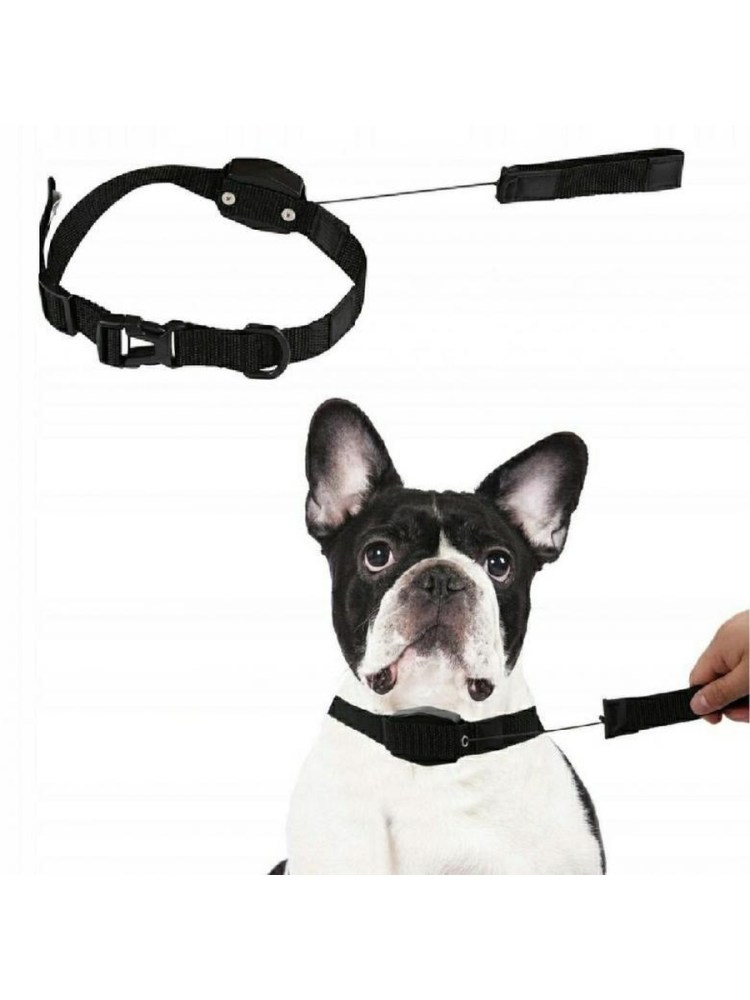 Рабыня домашнее животное