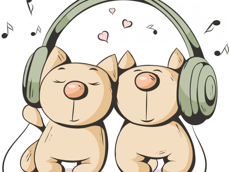 Кот в наушниках