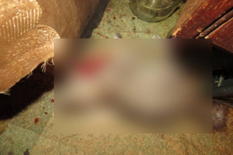 Котенок с наушниками