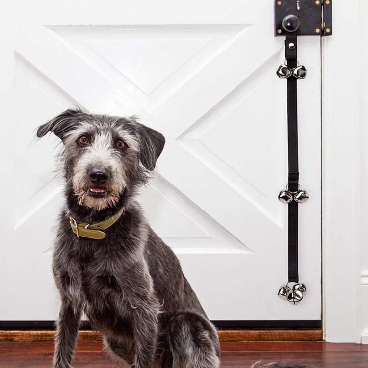 Пикуль собака