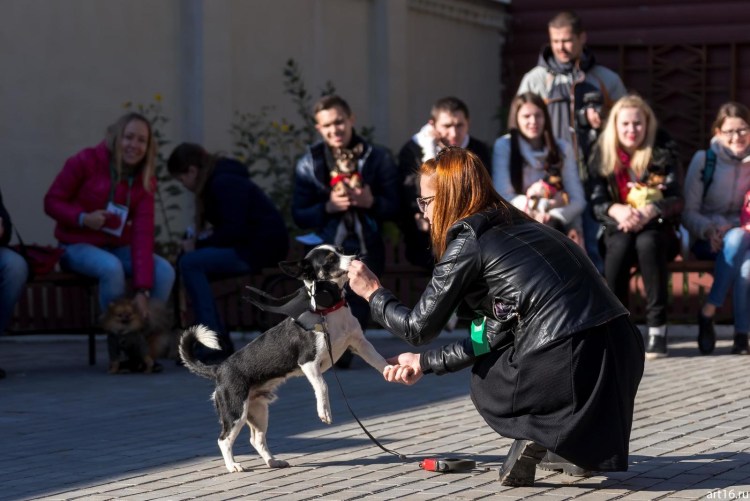 Приора из фильма про настоящую дружбу