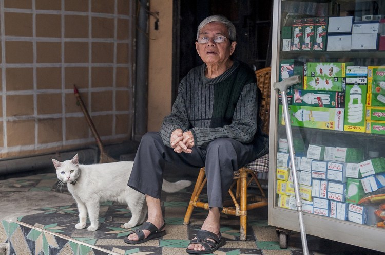 Котята породы тонкинез