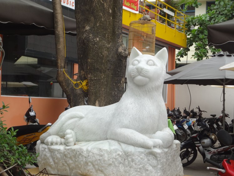 Тонкинская порода кошек