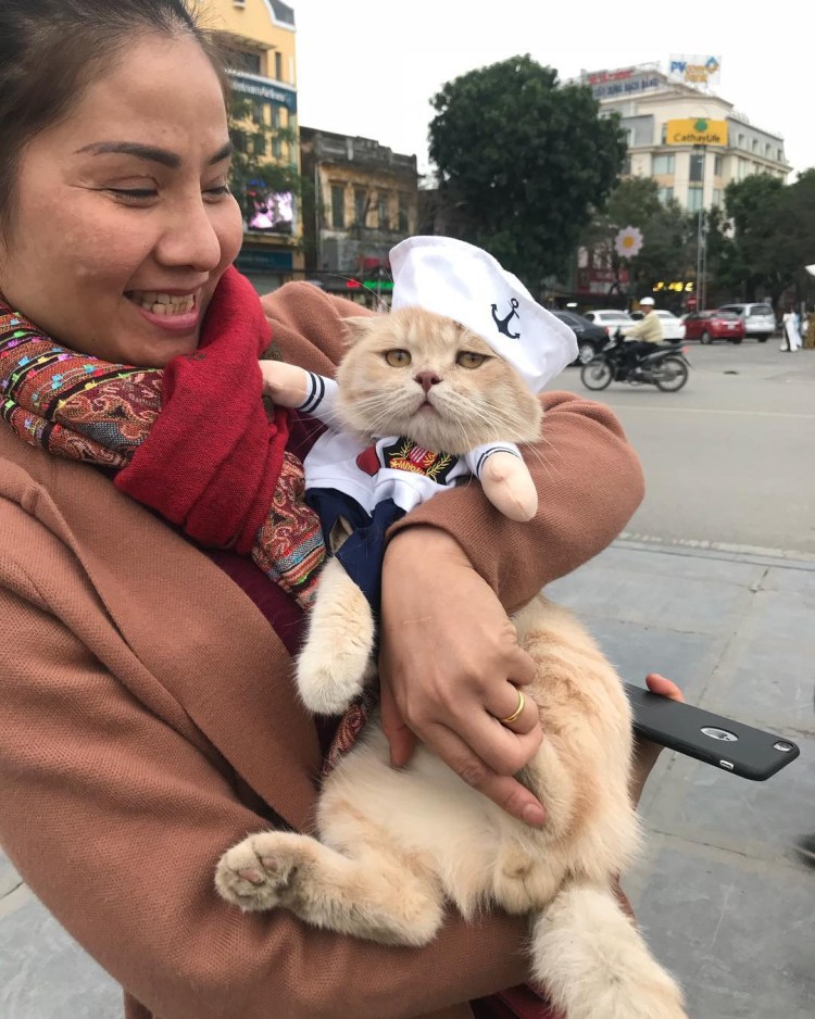 Камышовый бенгал