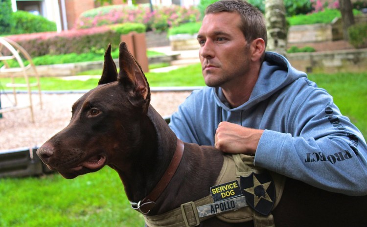 Северная лайка