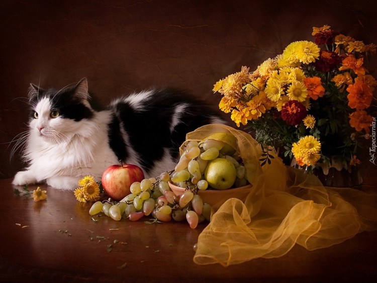 Кувшин кошка