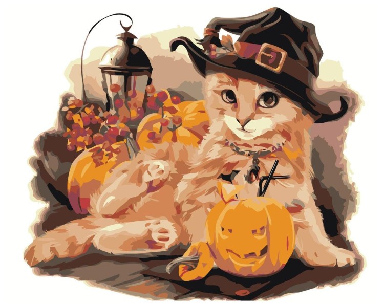 Мандариновая кошка