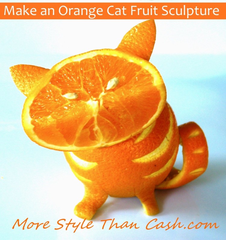 Кот куки в апельсине