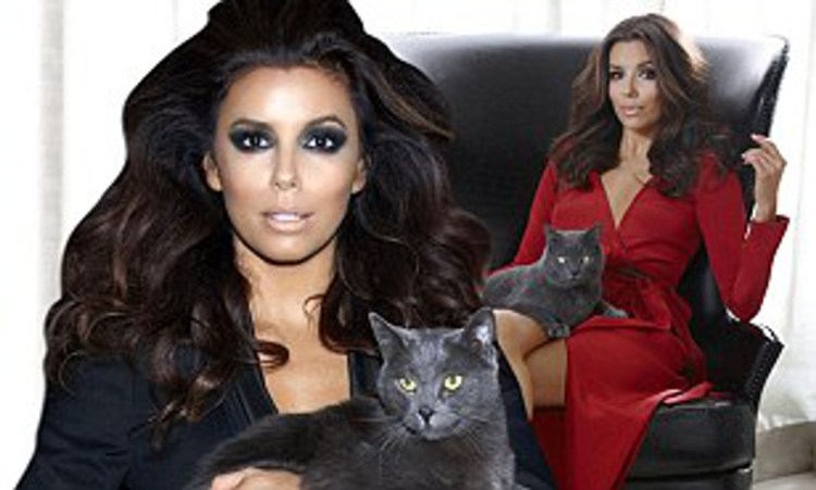 Порода Корат