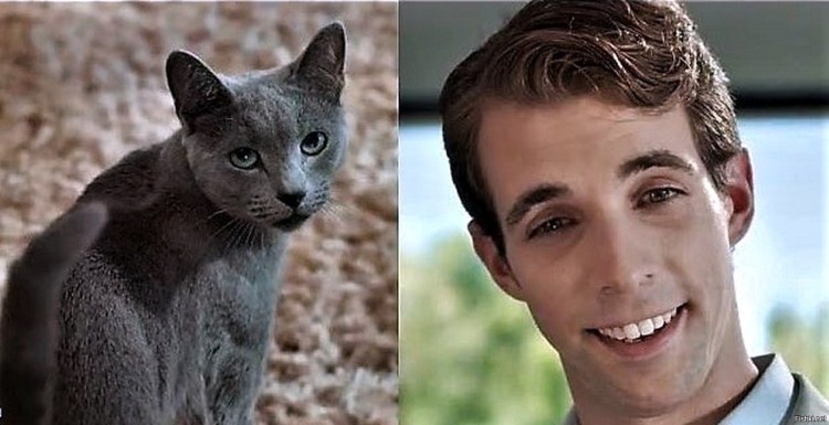 Ева Лонгория в рекламе Шеба