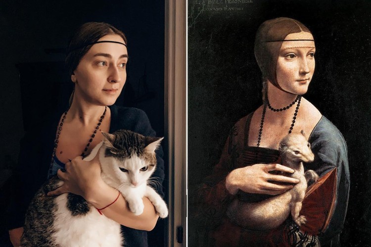 Добрые котосказки художника Александра Маскаева