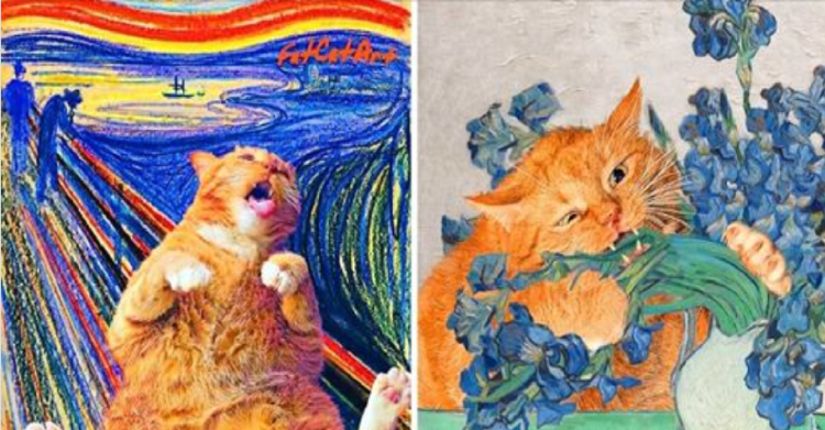 Мунк крик кот