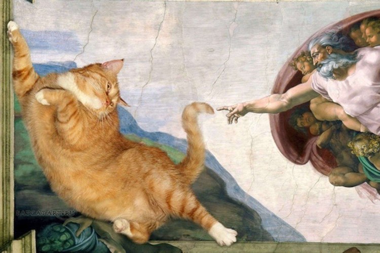 Микеланджело Сотворение Адама с котом