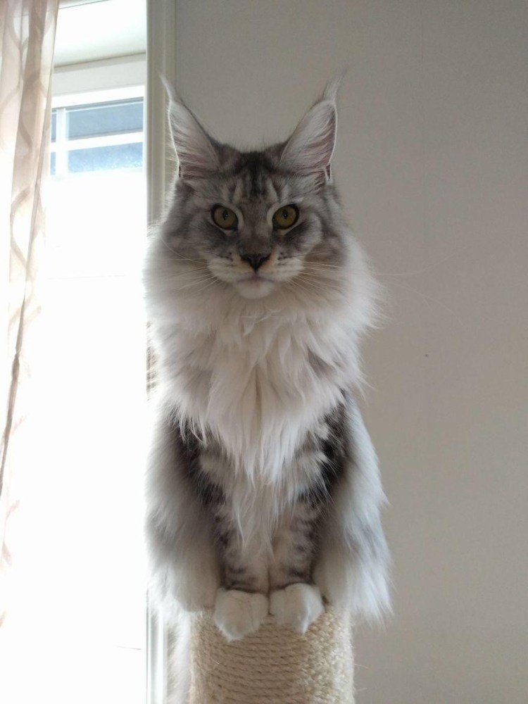 Мемы из фильмов