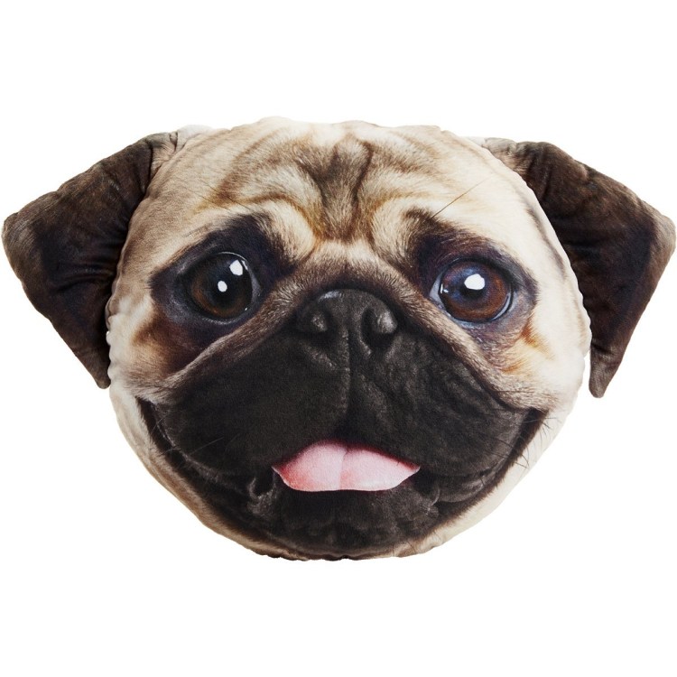 Мопс на белом фоне