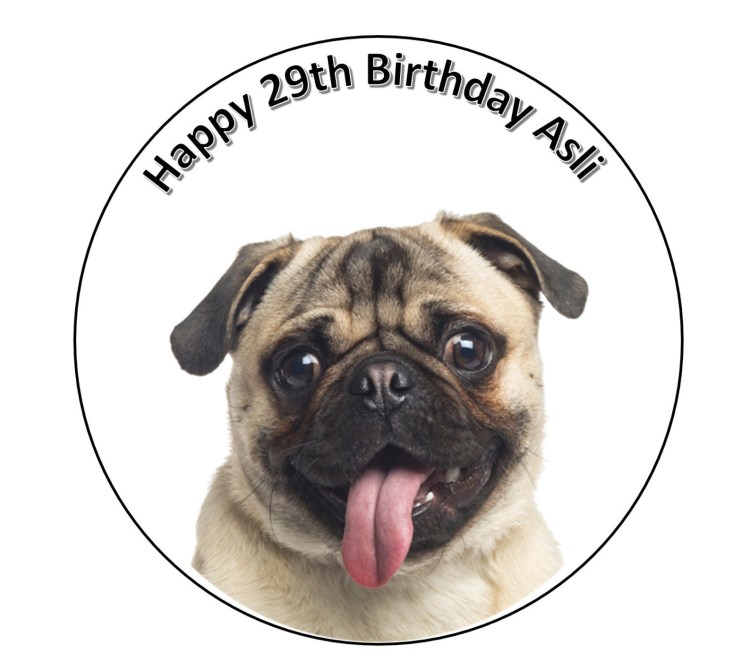 Фон с мопсами