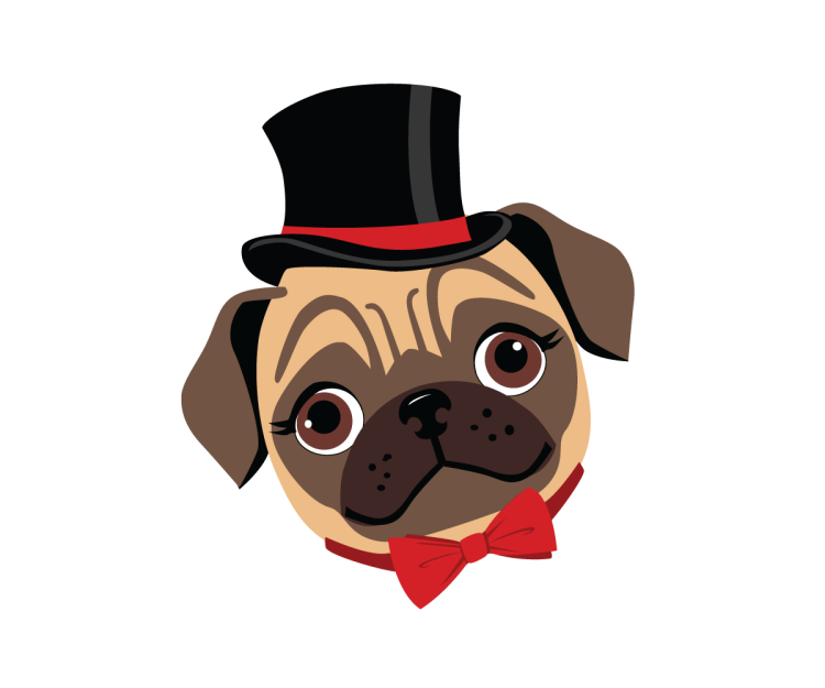 Мопс на прозрачном фоне