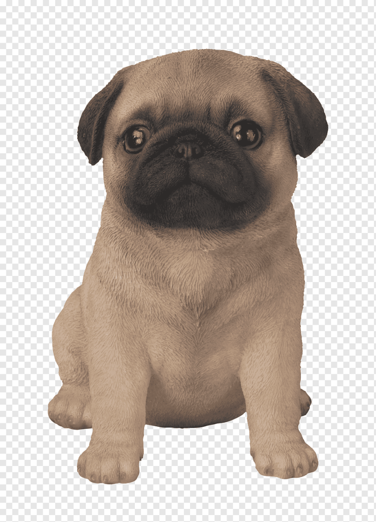 Мопс контроль