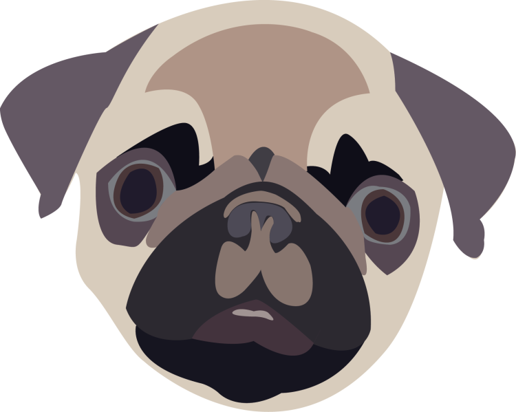 Морда МОПСА вверх